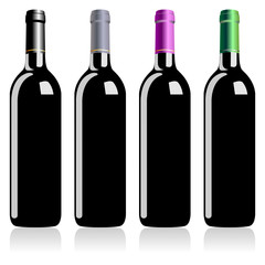 Bottles of wine isolated over white background