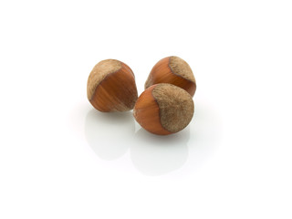 hazelnuts isolated on white