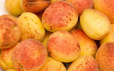 Many colourful red apricots at the backhround