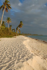 plage de Bayahibe, République dominicaine