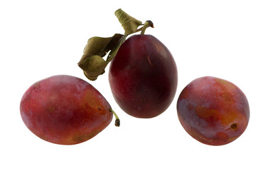 Plum