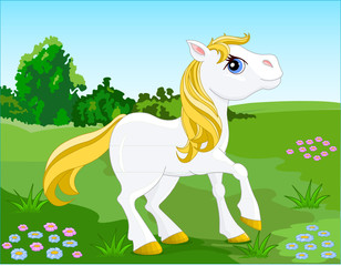 Wit paard. vector illustratie
