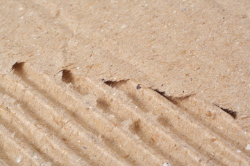 cardboard