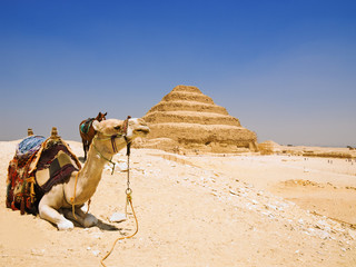 Great pyramid of Djoser in Saqqara