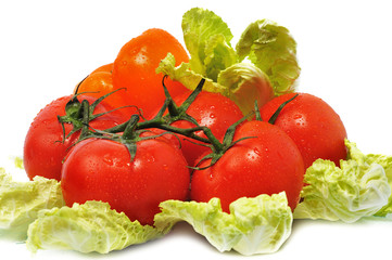 tomatos lie on leaves cabbage