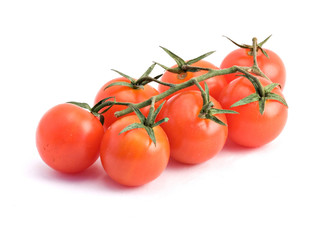 Closeup of branch of tomatoes isolated on white background