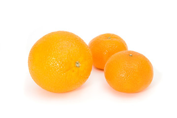 orange isolated