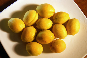 Apricots on white plate