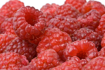 Fresh raspberry