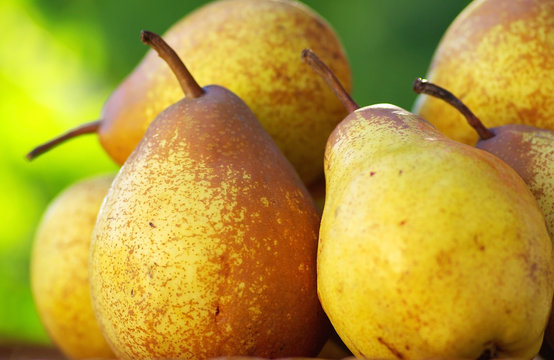 Fresh pears.