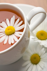 Obraz na płótnie Canvas biała filiżanka herbaty ziołowe i kwiatów rumianku