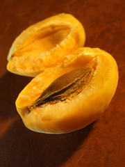 Open Apricot