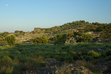 Valencia de Alcantara Granitfelsenlandschaft 01