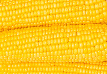 Extreme close up of yellow corn cobs