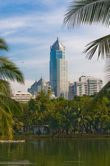 Fototapeta na wymiar modern city skyline, skyscrapers over green park