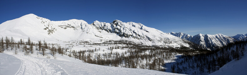 Fototapeta premium Panoramica Alpi ossolane