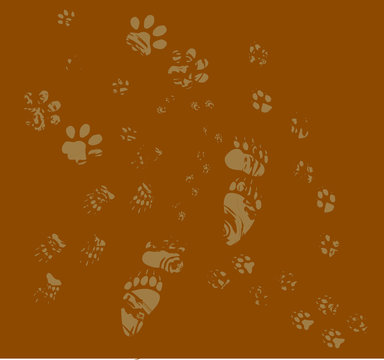 different animals tracks on brown