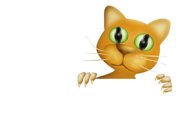 cute cat with empty board