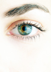 Close-up of beautiful woman face. On white background