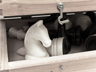 chess home