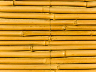 Tree trunks a bamboo