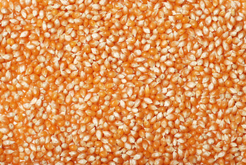 popcorn kernel background
