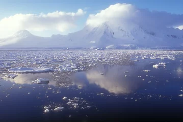 Rolgordijnen Antarctica © leksele