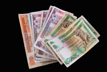 Obraz na płótnie Canvas Sri Lanka Currency