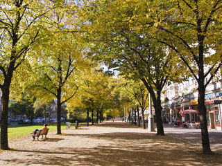 Naklejka premium Unter Bäumen