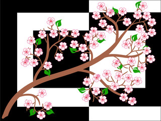 background Sakura
