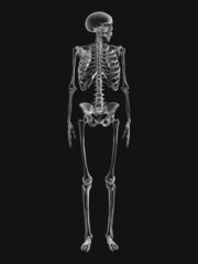 Radiologie - 10901946