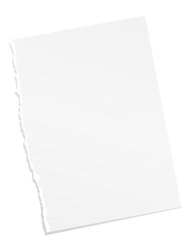Ripped blank lined paper