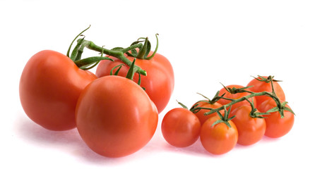 Closeup of branch of tomatoes isolated on white background