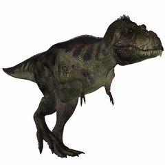 Fototapeta premium Tyrannosaurus Rex - 3D Dinosaurier