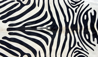 Afrika  - Im Land der wilden Tiere