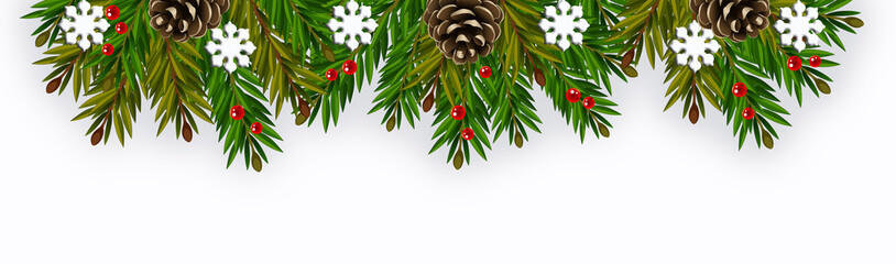 Cornice vettoriale di abete #6