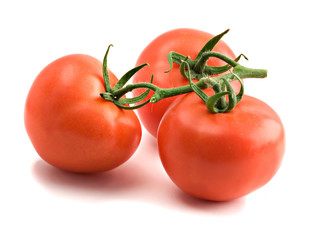 Closeup of branch of tomatoes isolated on white background