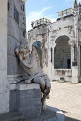 Un angelo tra noi. Recoleta, Benos Aires