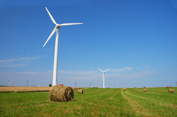 Wind turbines farm. Alternative energy source. © Wojciech Kozłowski