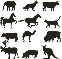 Abstract collection of  vector animals