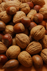 Muchas frutas secas.