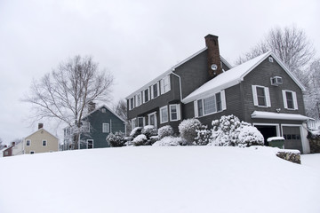 Snowy houses