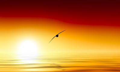 water sky and sunset