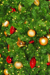 Fototapeta premium Christmas tree