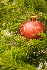 Christmas ball on fir branch
