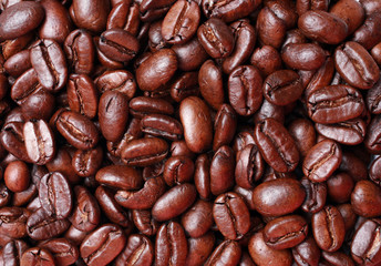 coffe beans
