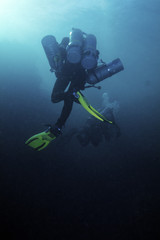 Naklejka na ściany i meble Red Sea Diving