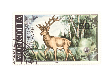 postage stamp deer macro