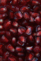 Close-up of juicy pomegranate seeds