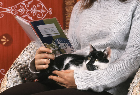 chat allong&eacute; sur sa maitresse,carnet de sant&eacute; en main